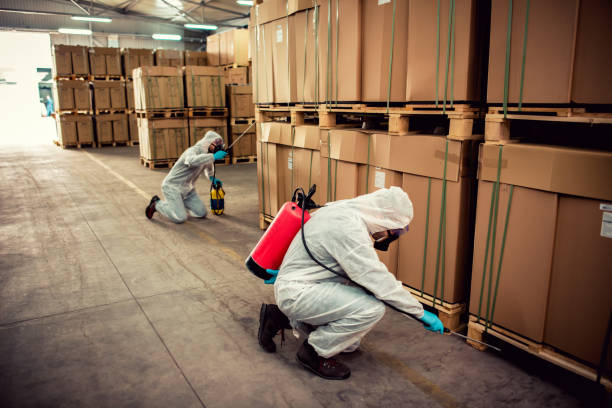 Best Affordable Pest Control Services  in Mount Carmel, TN