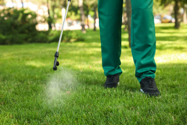 Best Pest Removal Services  in Mount Carmel, TN
