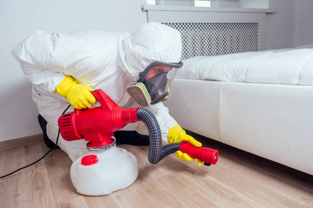 Trusted Mount Carmel, TN Pest Control Experts