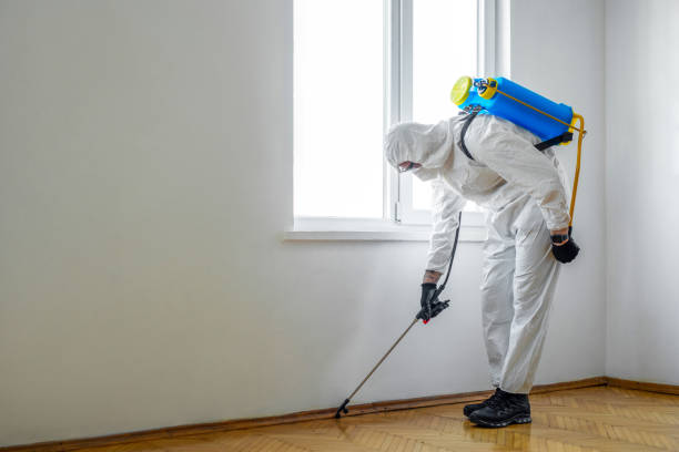 Best Pest Inspection Near Me  in Mount Carmel, TN