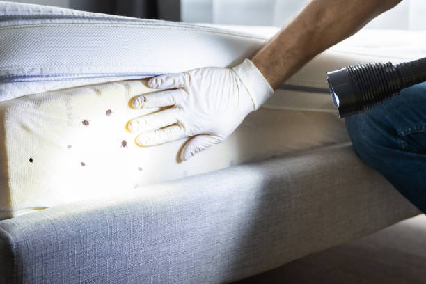 Best Best Pest Control Companies  in Mount Carmel, TN