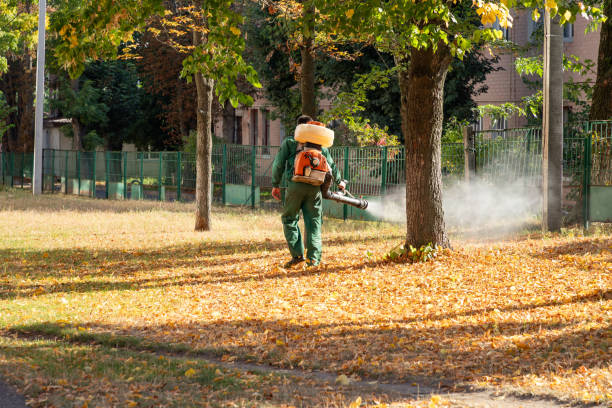 Best Mosquito Control Services  in Mount Carmel, TN