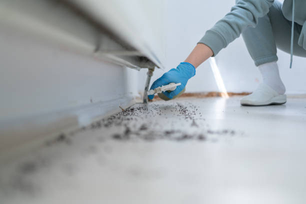 Best Cockroach Control Services  in Mount Carmel, TN